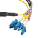 Camplex 6' MTP Elite APC Male to 12 LC U...: Picture 2 thumbnail