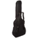 ChromaCast Gig Bag: Picture 1 thumbnail