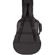 ChromaCast Gig Bag: Picture 2 thumbnail