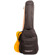 ChromaCast Gig Bag: Picture 6 thumbnail