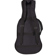 ChromaCast Gig Bag: Picture 1 thumbnail