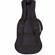 ChromaCast Gig Bag: Picture 1 thumbnail
