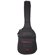 ChromaCast Gig Bag: Picture 3 thumbnail