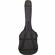 ChromaCast Gig Bag: Picture 1 thumbnail