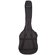 ChromaCast Gig Bag: Picture 1 thumbnail