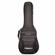 ChromaCast Gig Bag: Picture 1 thumbnail