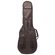 ChromaCast Gig Bag: Picture 1 thumbnail
