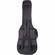 ChromaCast Gig Bag: Picture 1 thumbnail