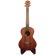 ChromaCast Ukulele Stand: Picture 1 thumbnail