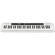 Casio CT-S200 61-Key Digital Piano Style Portable Keyboard with 400 Tones, White