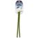 Carson Toobz Eyewear Retainer: Picture 16 thumbnail