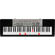Casio LK-190: Picture 1 thumbnail