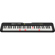 Casio LK-S250 61-Key Digital Piano Style Portable Keyboard with Lighting Key