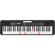 Casio LK-S250: Picture 2 thumbnail