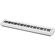 Casio PX-S1000: Picture 1 thumbnail