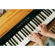 Casio PX-S1100: Picture 7 thumbnail