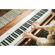 Casio PX-S1100: Picture 14 thumbnail