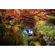 RucPac Headlamp: Picture 5 thumbnail