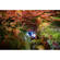RucPac Headlamp: Picture 5 thumbnail
