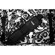 Shootsac Shoulder Pad: Picture 4 thumbnail