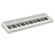 Casio CT-S1: Picture 1 thumbnail