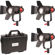 Came-TV Boltzen Fresnel Light Kit: Picture 1 thumbnail