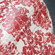 Camera Coats Shabby Glimmer of Paris/Red WaterResistant Rain Slicky, Small PRO: Picture 2 thumbnail