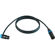 Cable Techniques 10' R/A XLR-3F to 3M St...: Picture 2 thumbnail