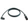 Cable Techniques 15' R/A XLR-3F to 3M St...: Picture 1 thumbnail