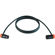 Cable Techniques 10' Premium R/A XLR-3F ...: Picture 2 thumbnail