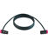 Cable Techniques 25' R/A XLR-3F to XLR-3...: Picture 2 thumbnail