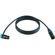 Cable Techniques 25' R/A XLR-3F to 3M St...: Picture 2 thumbnail