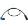 Cable Techniques 3' R/A XLR-3F to 3M Str...: Picture 2 thumbnail