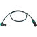 Cable Techniques 3' R/A XLR-3F to 3M Str...: Picture 2 thumbnail