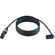 Cable Techniques 50' Straight XLR-3F to ...: Picture 2 thumbnail