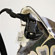 Camera Coats Touch of Glitter/Black WaterResistant Rain Slicky, Small PRO: Picture 2 thumbnail