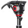Came-TV TP-501C: Picture 2 thumbnail