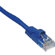 Comprehensive CAT5-350-50BLU: Picture 1 thumbnail