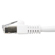 Comprehensive 50' Cat6 550 MHz Snagless ...: Picture 3 thumbnail