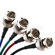 Comprehensive 15 Pin Computer Plug to Four BNC Plugs, RGB + Sync, 10'.: Picture 2 thumbnail