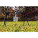 Caldwell Rifle Swinger Target: Picture 3 thumbnail