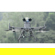 CZI LP35: Picture 3 thumbnail