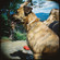 Lomography Diana+: Picture 6 thumbnail