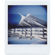 Lomography Diana Instant Camera: Picture 3 thumbnail