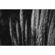 Lomography Babylon Kino: Picture 2 thumbnail