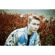 Lomography LomoChrome Metropolis 35mm Co...: Picture 11 thumbnail