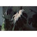 Lomography LomoChrome Metropolis 35mm Co...: Picture 12 thumbnail