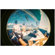 Lomography Fisheye No. 2: Picture 5 thumbnail