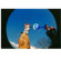 Lomography Fisheye One: Picture 3 thumbnail