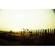 Lomography La Sardina: Picture 6 thumbnail